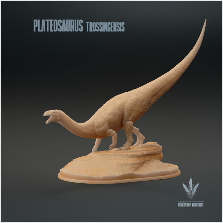 Plateosaurus trossingensis : On a Rock