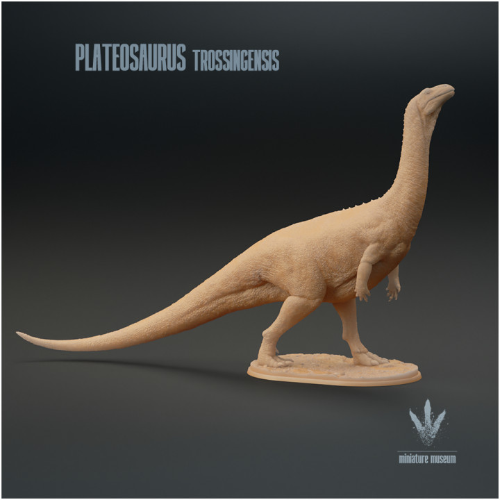 Plateosaurus trossingensis : Standing