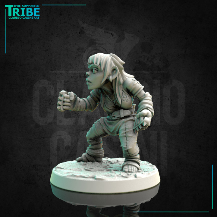 (0170) Female halfling hobbit monk with a brass knuckles image