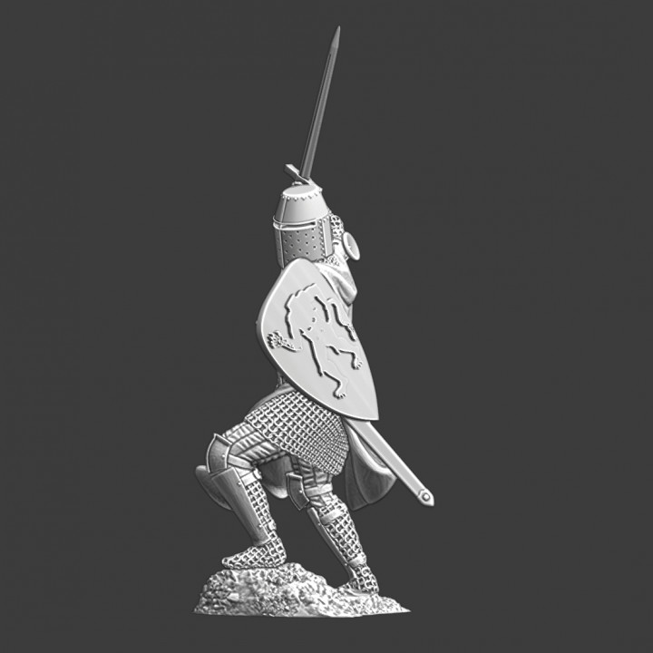 Medieval Danish Knight - Trolle Family image