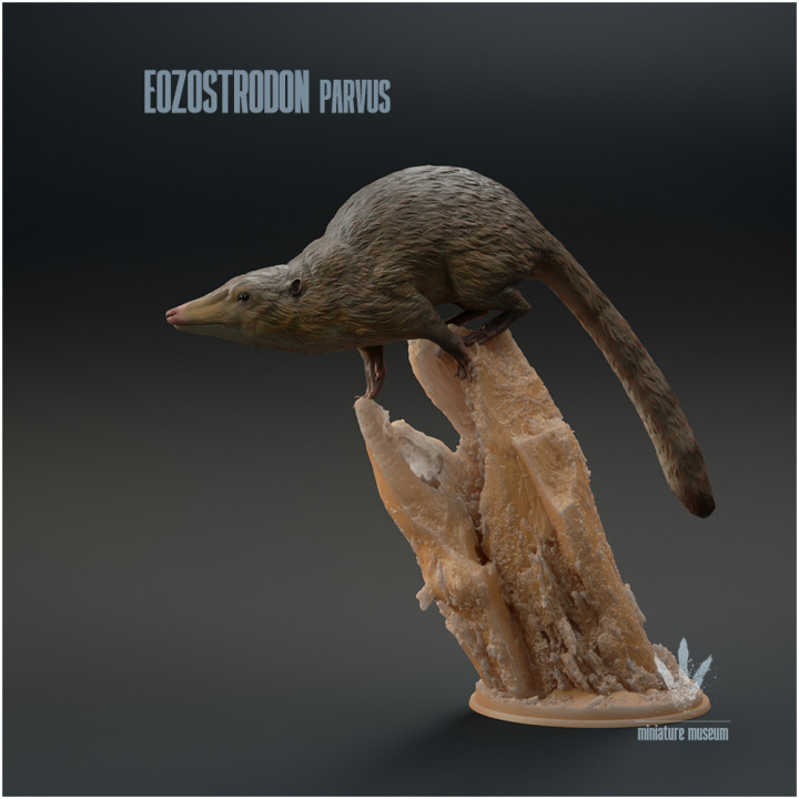 Eozostrodon parvus : On a Log image