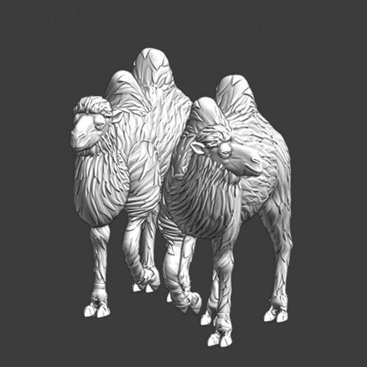 Camels - Wargaming Models