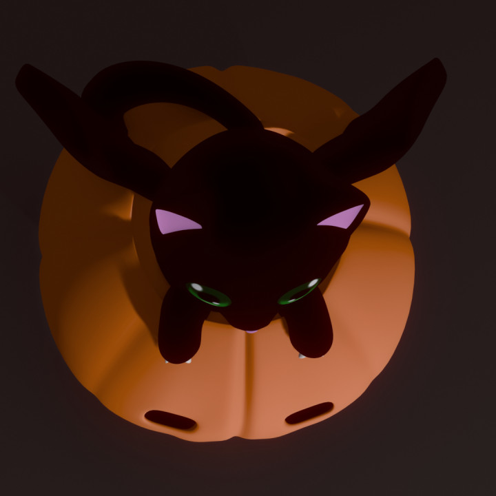Pumpkin cat image