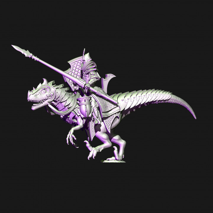 Dark elves raptor riders