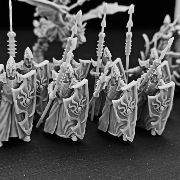 HARPOON GUARDS - SLAVES OF DARKNESS (NOVEMBER RELEASE) (ELF FROM DARK ELVES) image