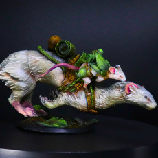 Picture of print of Mousin Weasel Sprint