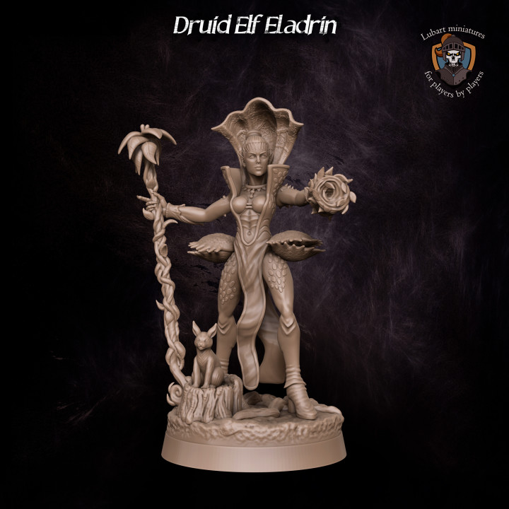 Druid Elf Eladrin image