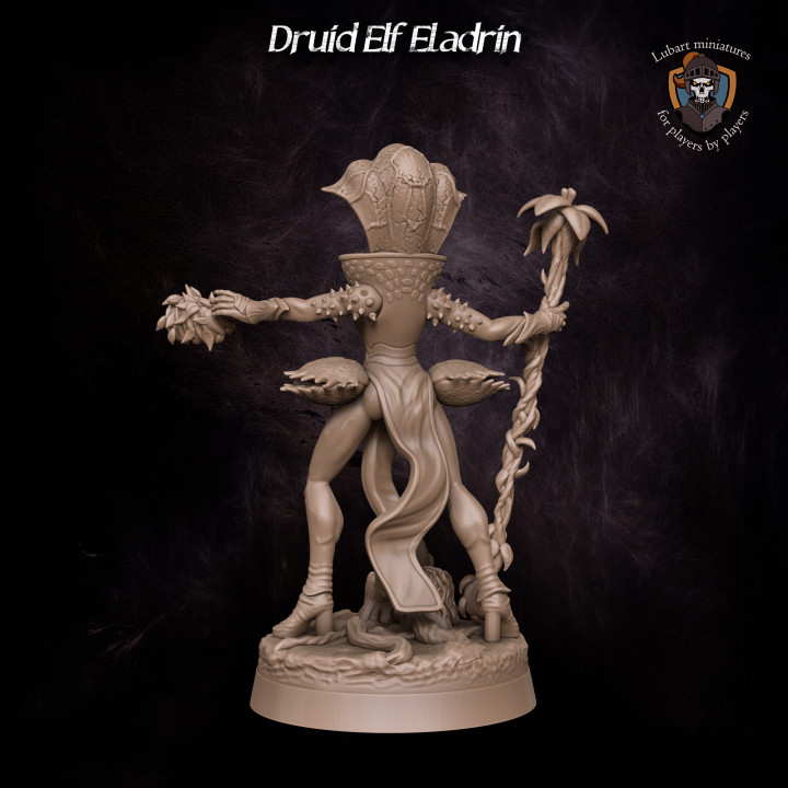 Druid Elf Eladrin image