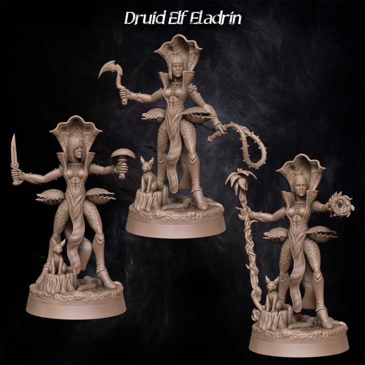 Druid Elf Eladrin's Cover