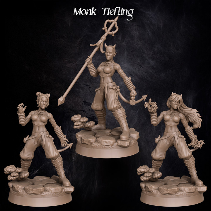 Monk Tiefling image