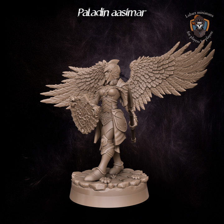 Paladin Aasimar's Cover