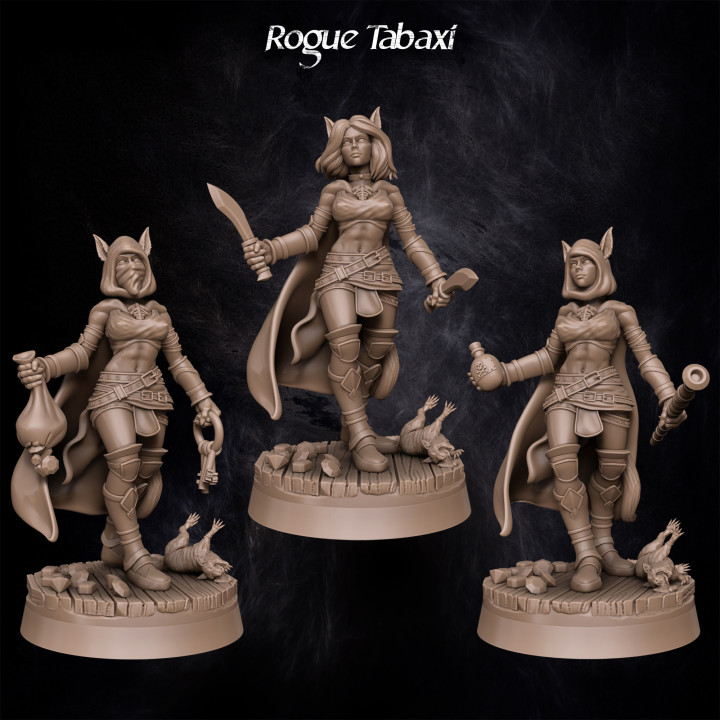 Rogue Tabaxi's Cover