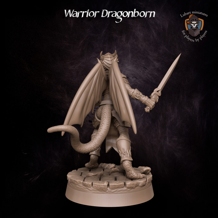 Warrior Dragonborn image
