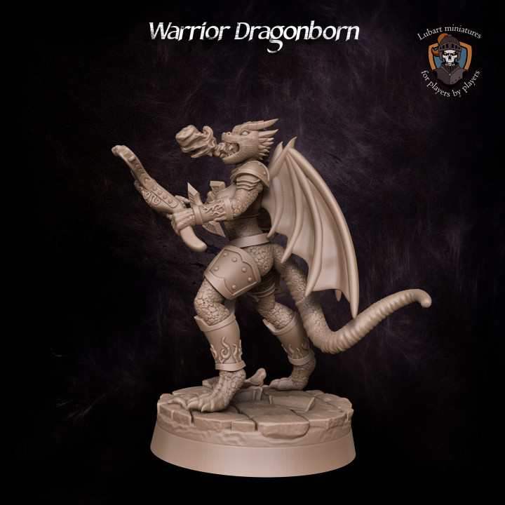 Warrior Dragonborn image