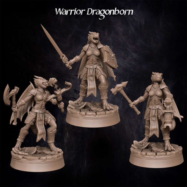 Warrior Dragonborn's Cover