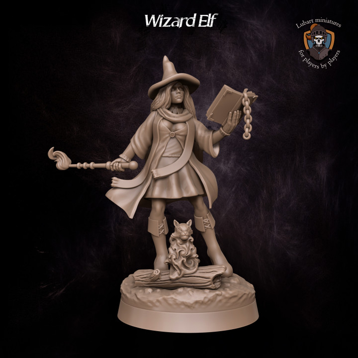 Wizard Elf's Cover