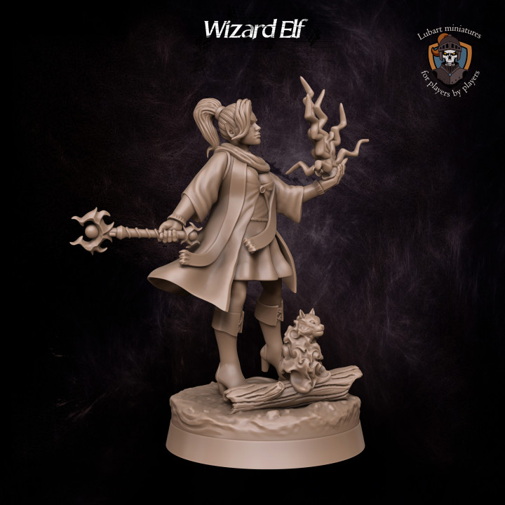 Wizard Elf image
