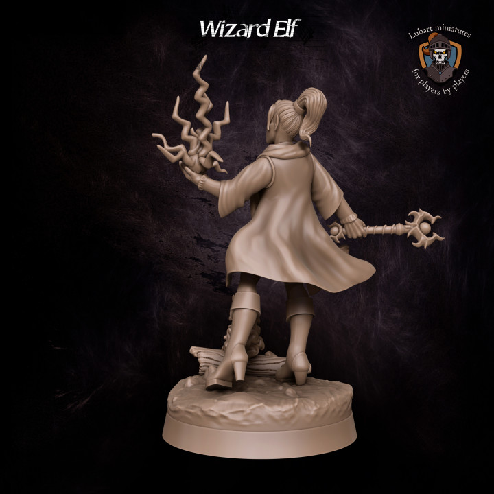 Wizard Elf image