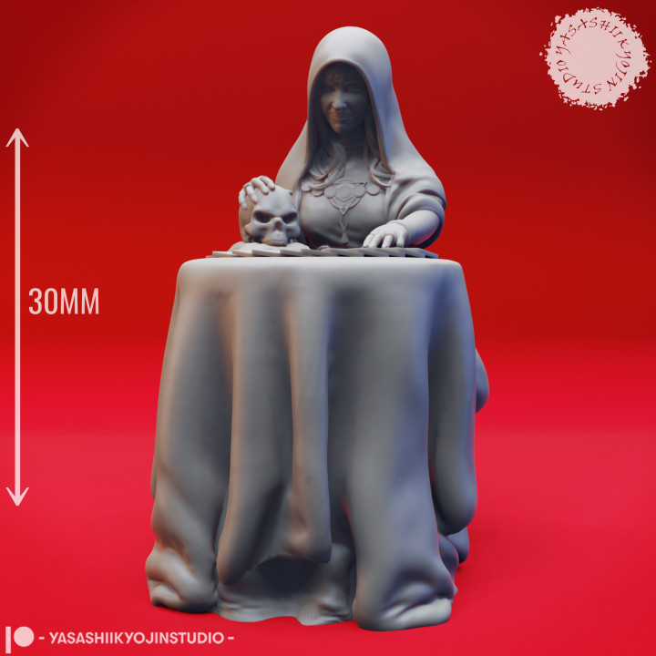 Vadoma - Fortune Teller - Seated - Tabletop Miniatures (Pre-Supported) image