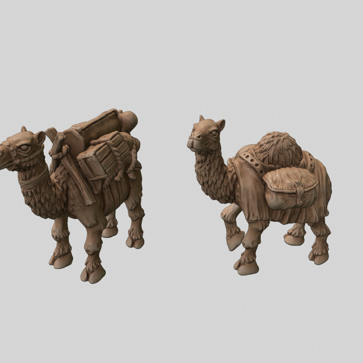 Camels with a load of goods image