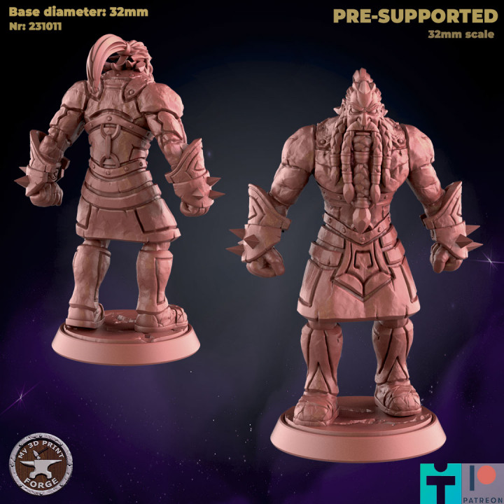 Iron Dwarf Runecaster Standing image