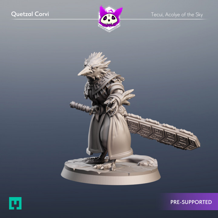 Quetzal Corvi | Acolyte Adventurers image