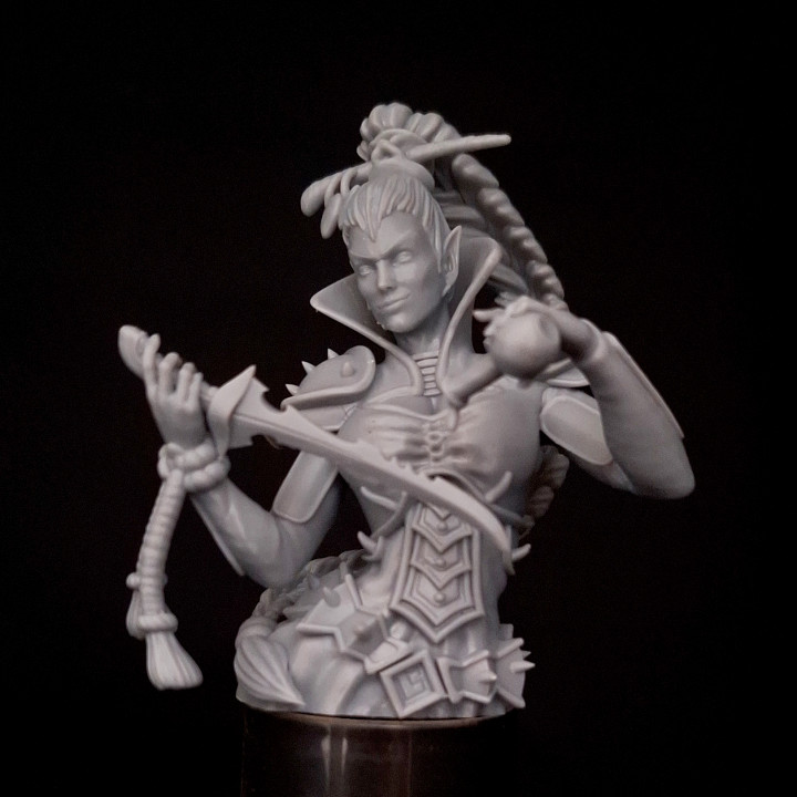 Weapon Poisoner Mistress (55mm Bust)