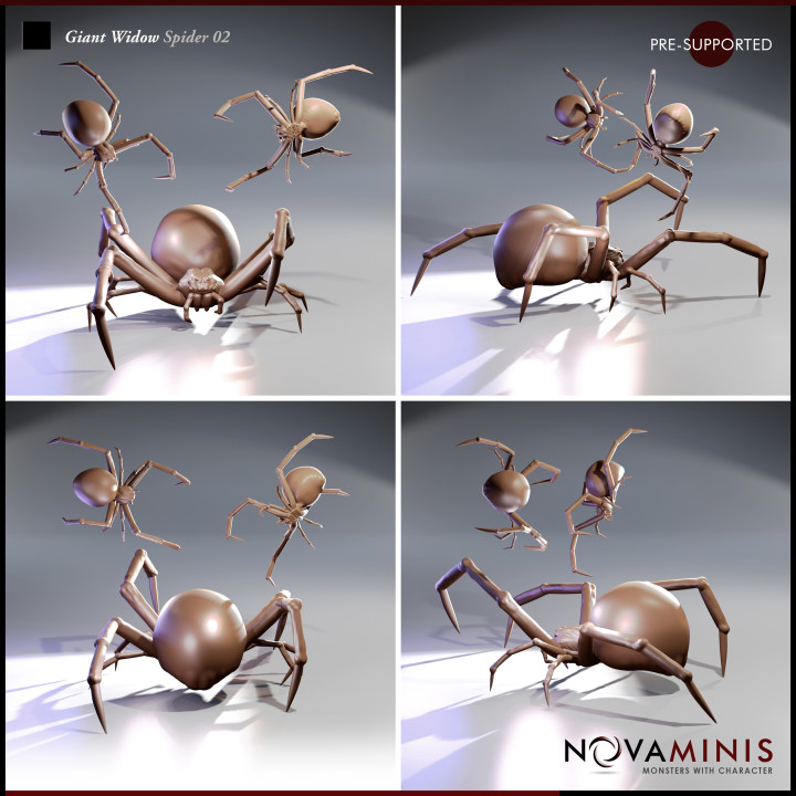 Giant Widow Spider 02
