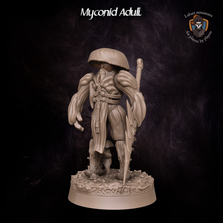 Myconid Adult's Cover