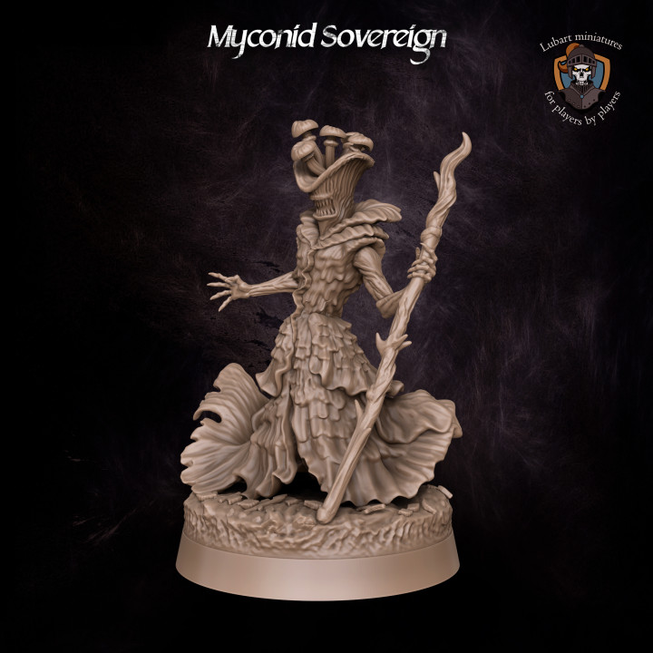 Myconid Sovereign's Cover
