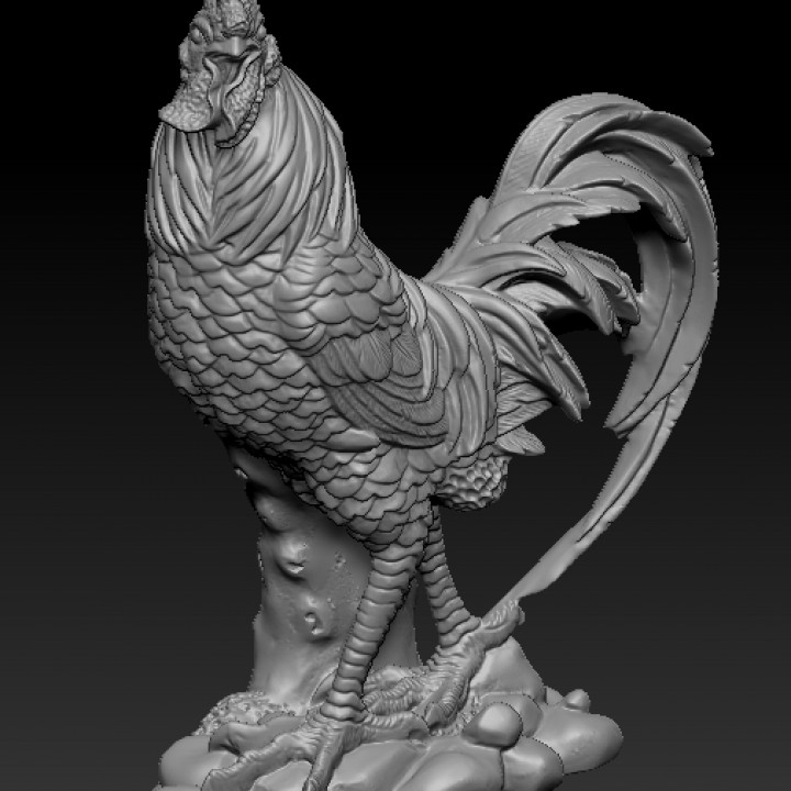 rooster image