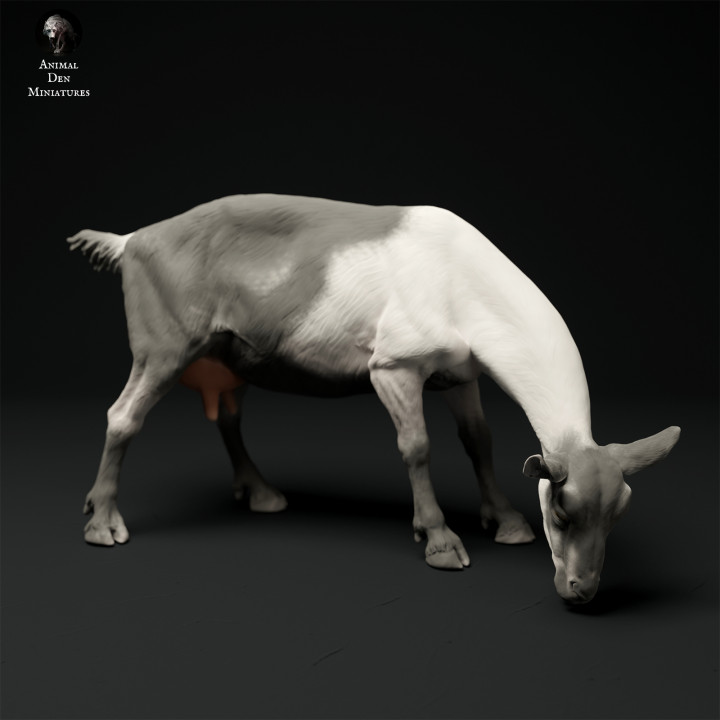 Alpine Goat Grazing's Cover