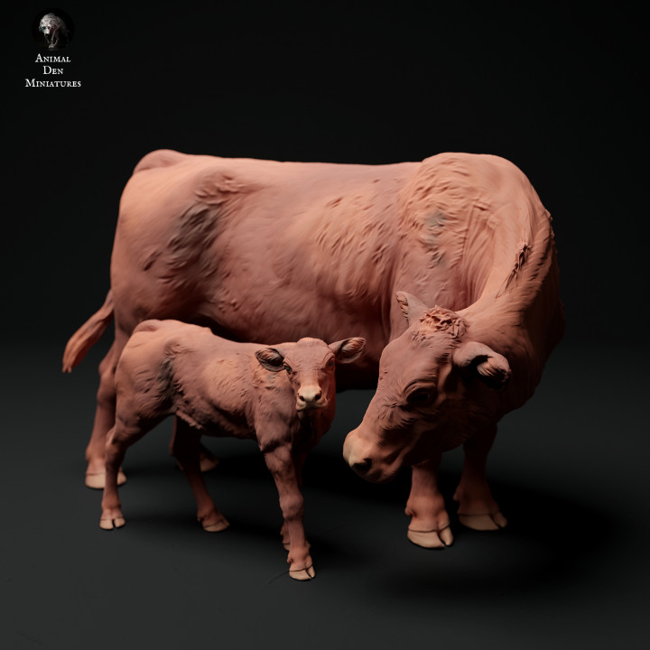 Red Devon Cow with Calf's Cover