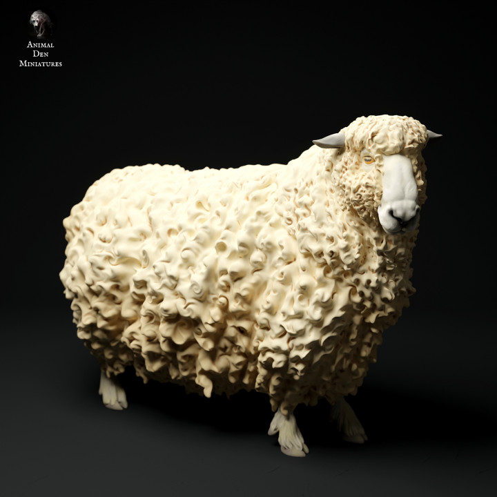 Devon and Cornwall Longwool Sheep 2's Cover