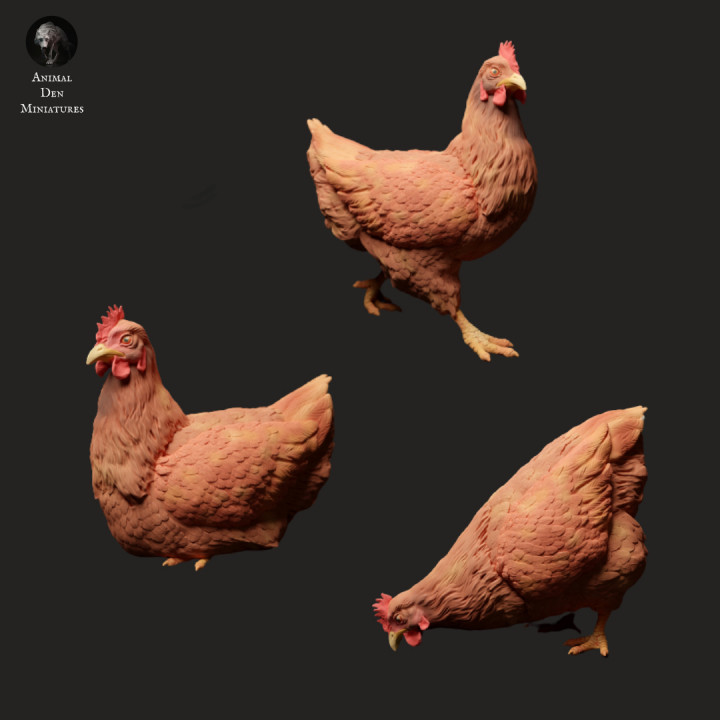 Chickens's Cover