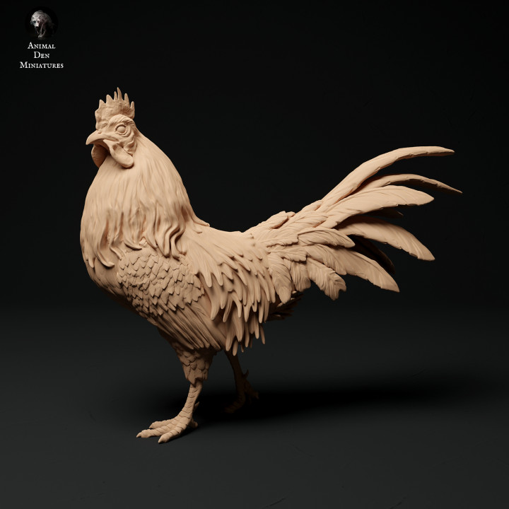 Roosters image
