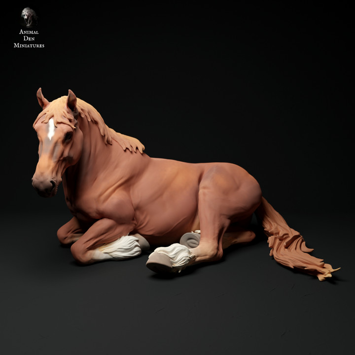 Suffolk Punch Mare Lying's Cover