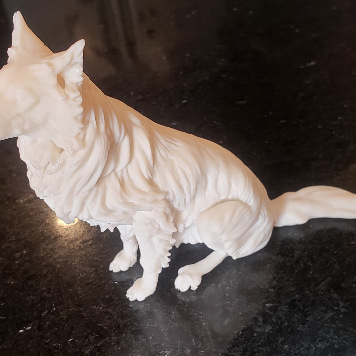 3D Print of Border Collie Dog Pack by JinHae