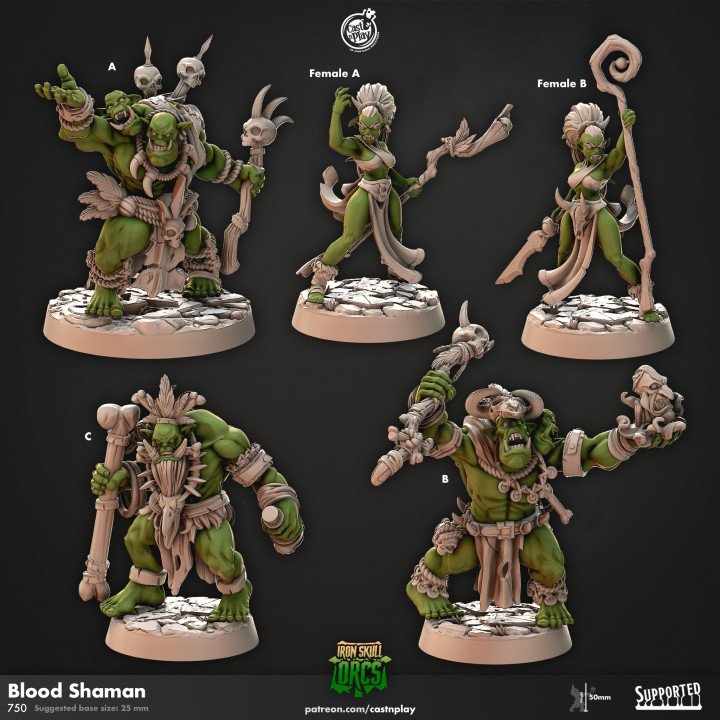 Blood Shaman Orc (Pre-Supported)