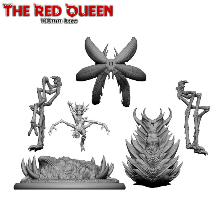 The Red Queen