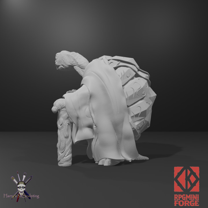Aisn the Tortle Warlock - Harry's 3D Sculpting image