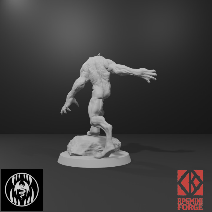 Werewolf Boss - Imp3dsion image
