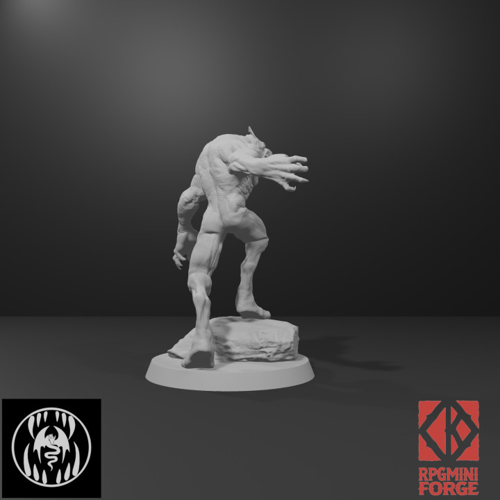 Werewolf Boss - Imp3dsion image