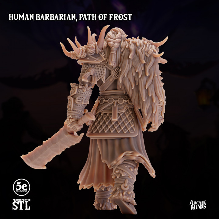 Human Barbarian Male, Path of Frost image