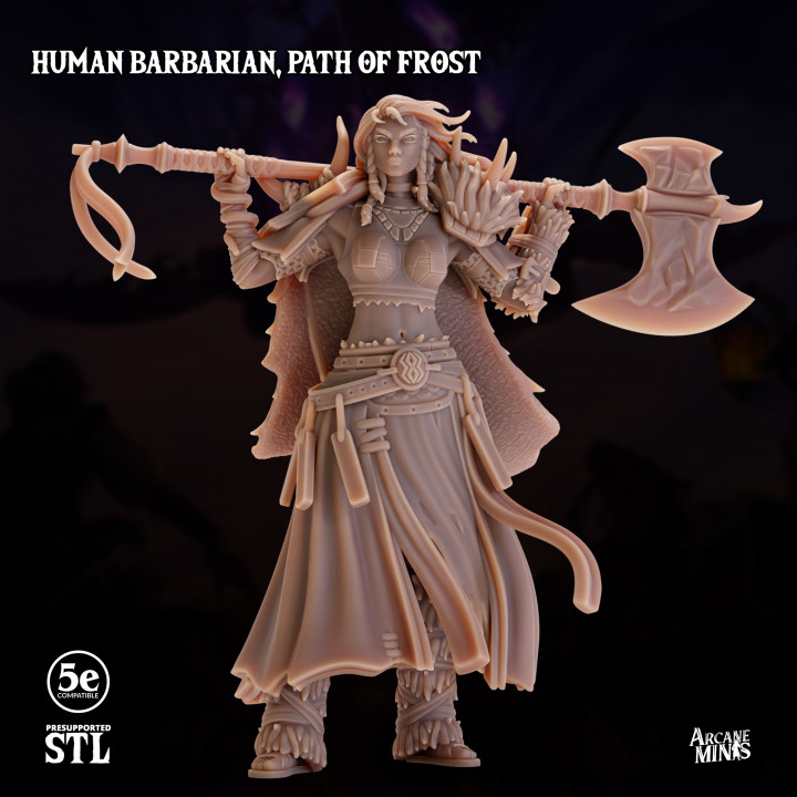 Human Barbarian Female, Path of Frost image