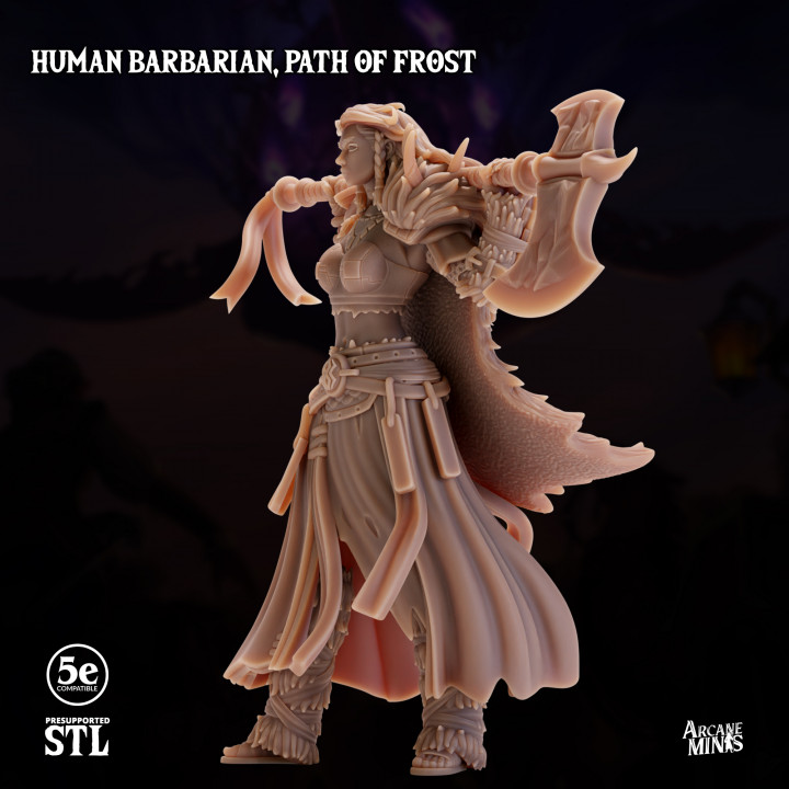 Human Barbarian Female, Path of Frost image