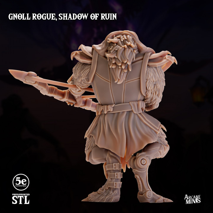 Gnoll Rogue, Shadow of Ruin image