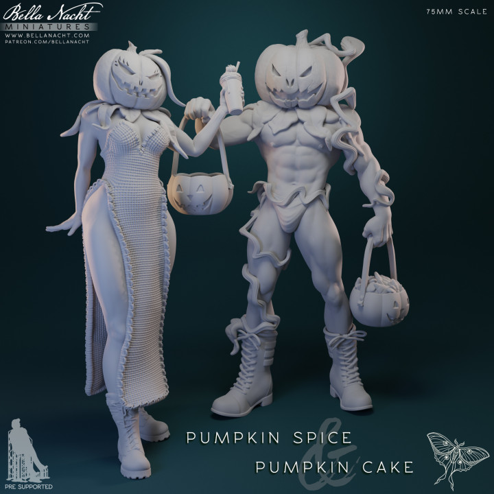 Pumpkin Spice & Pumpkin Cake image