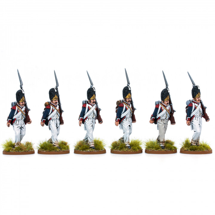 Napoleonic French Line Infantry Grenadiers with Bearskins image