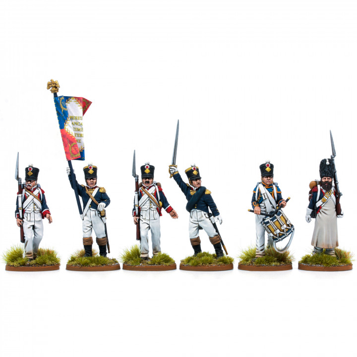 Napoleonic French Line Infantry Command Regimental image